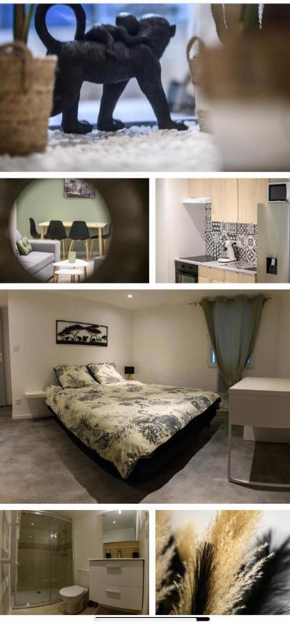 Le Boldieu- Duplex Beziers -Allee Paul Riquet- Wifi- Tv Connecte المظهر الخارجي الصورة