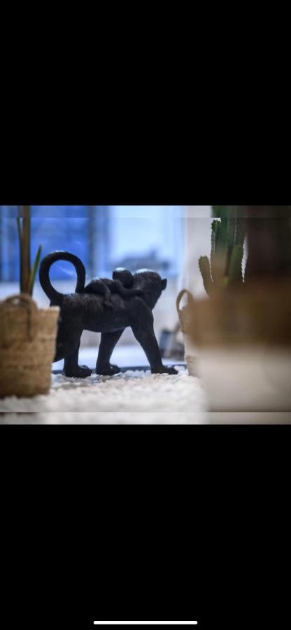Le Boldieu- Duplex Beziers -Allee Paul Riquet- Wifi- Tv Connecte المظهر الخارجي الصورة