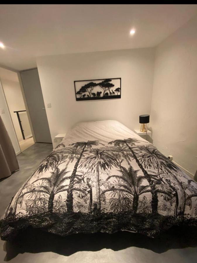 Le Boldieu- Duplex Beziers -Allee Paul Riquet- Wifi- Tv Connecte المظهر الخارجي الصورة